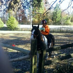 Meet your Posher, Stanley